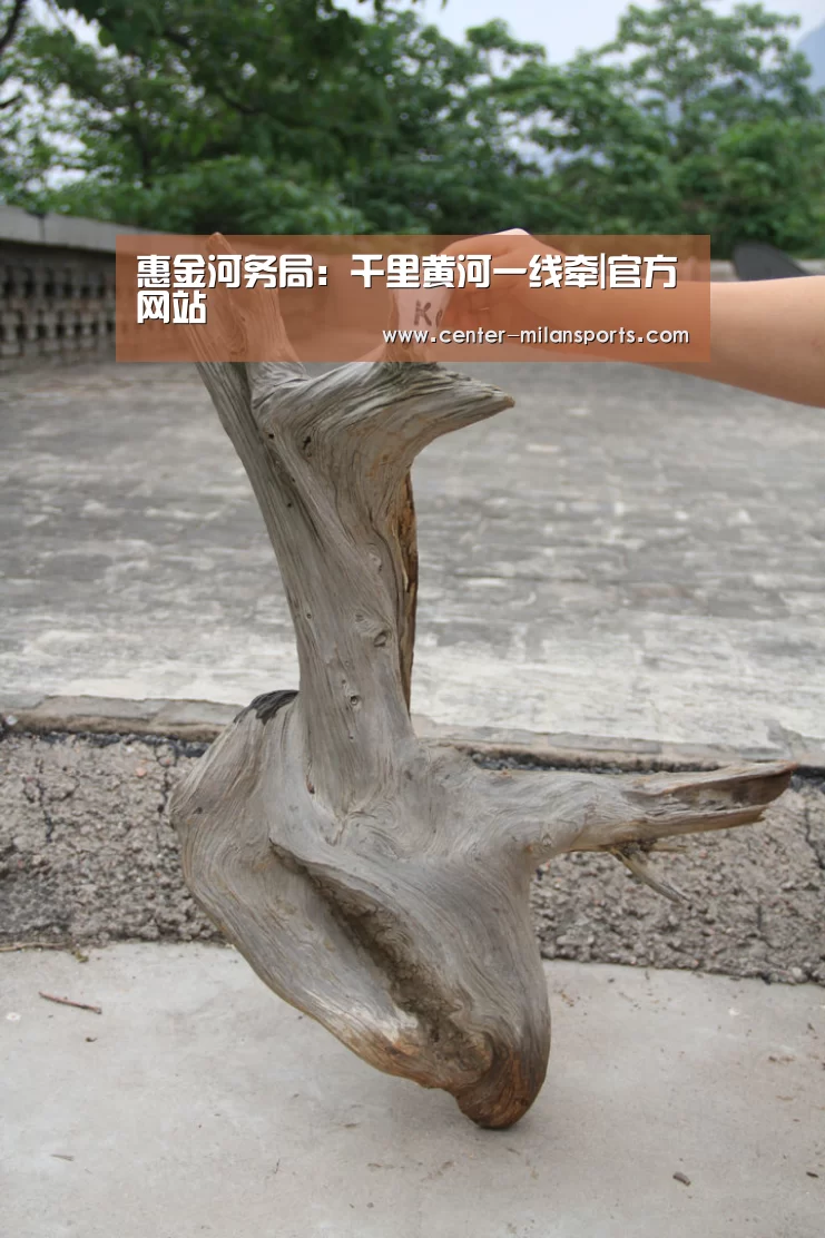 惠金河务局:千里黄河一线牵|官方网站(图1) 惠金河务局:千里黄河一线牵|官方网站(图1)