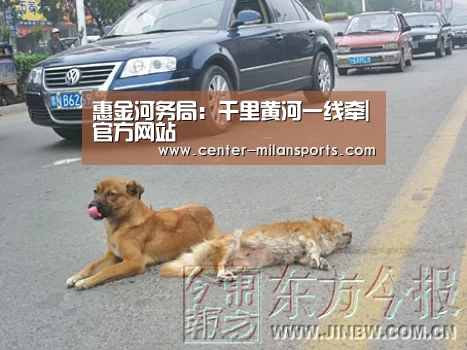 惠金河务局:千里黄河一线牵|官方网站(图2) 官方网站